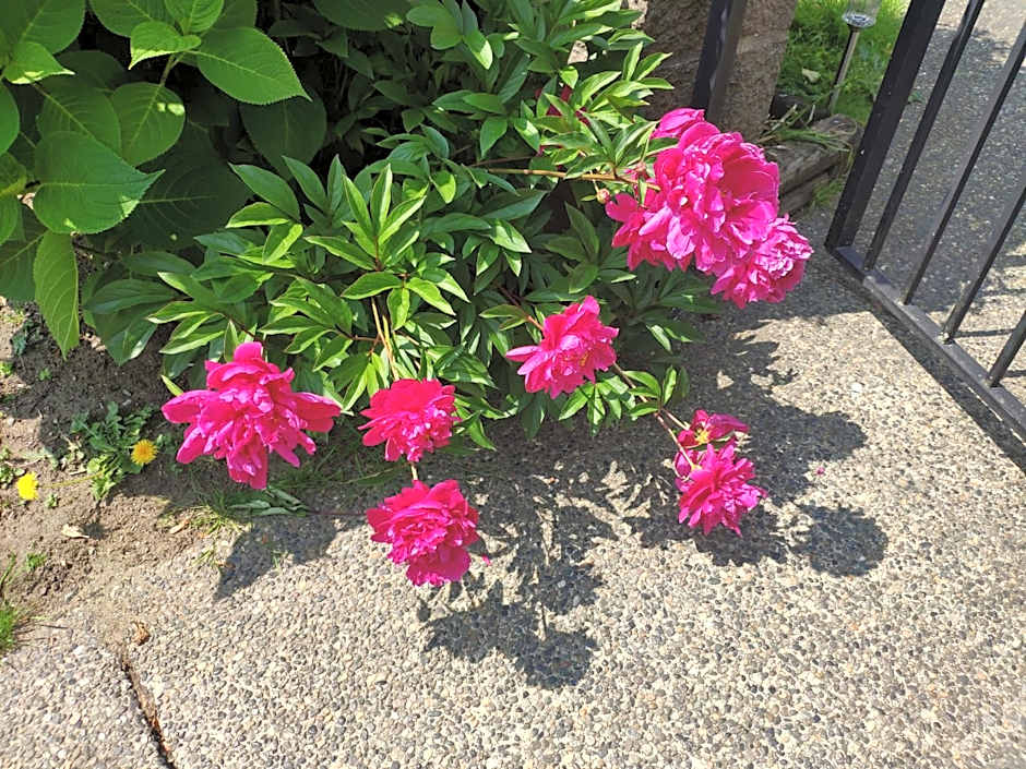 Helen's House / Close to Skytrain and Airport