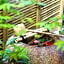 Kyo Machiya Ryokan Yuan