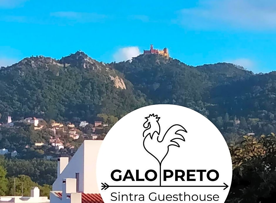 Galo Preto - Amazing breakfast Sintra - View and Silence