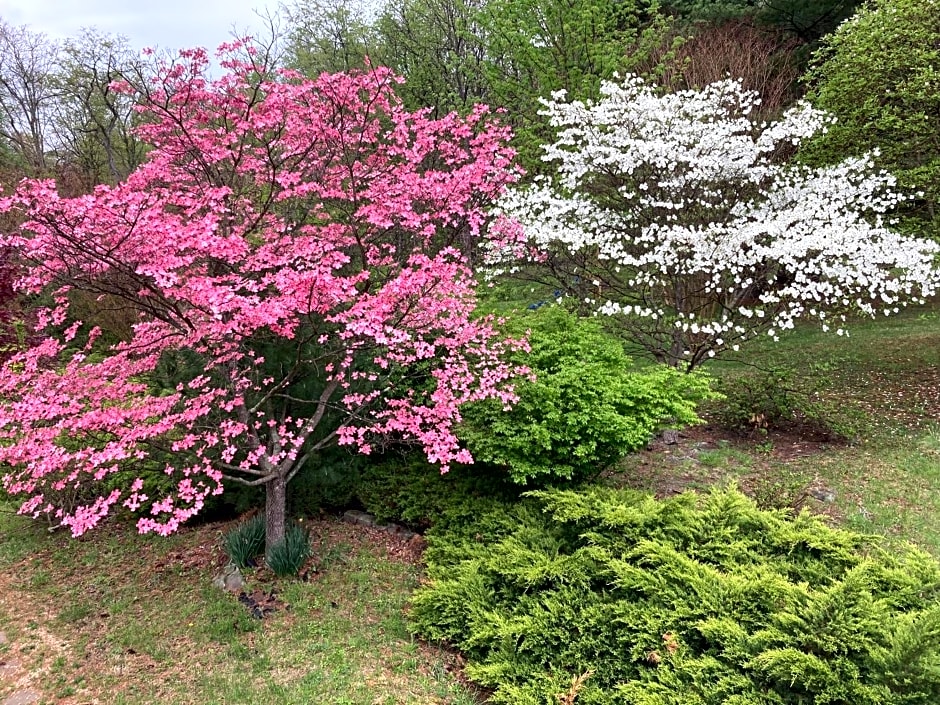 Purcellville Home