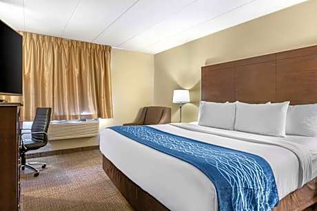 King Room Accessible Bathtub- Non Smoking