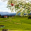 Hotel Allgau Garni