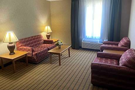 1 King Bed Suite Nonsmoking