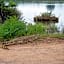Foxy Crocodile Bush Lodge & Kruger Safaris