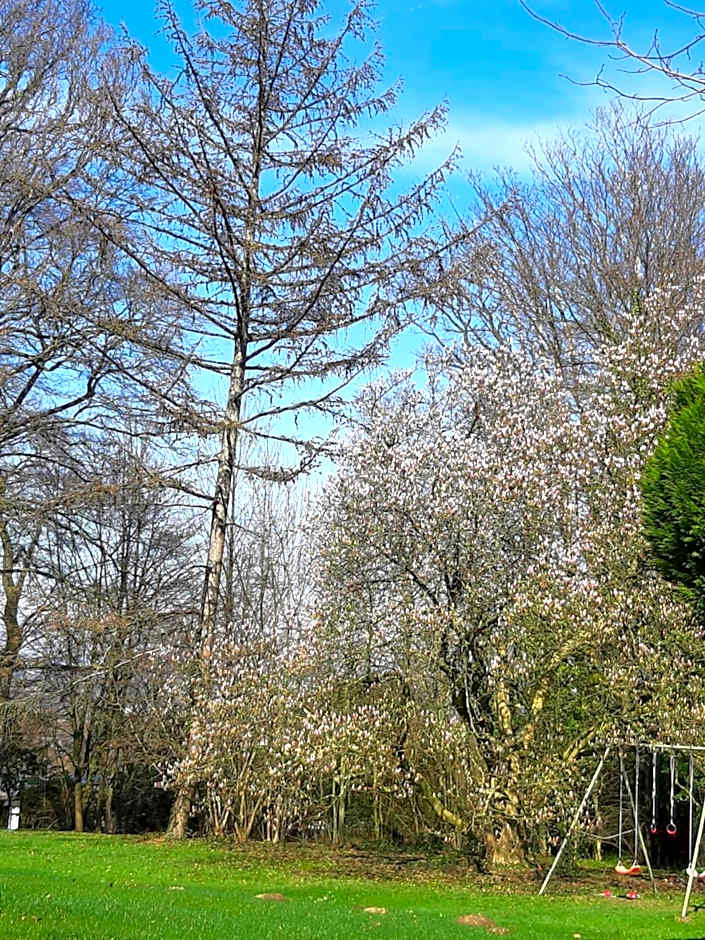 B&B Chatelet Cremers