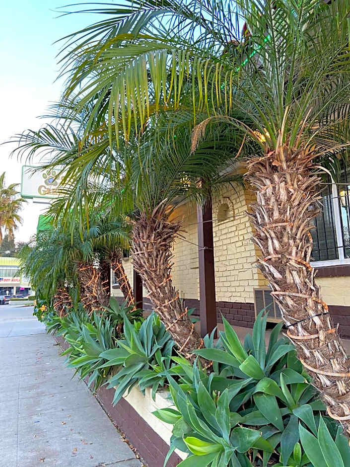 El Patio Inn Studio City