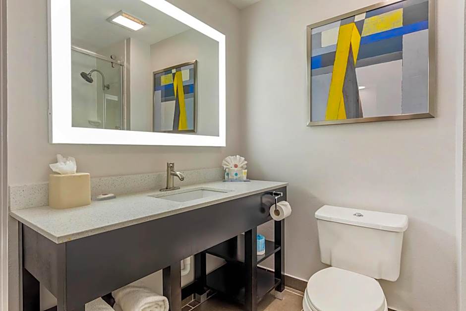 Comfort Inn & Suites Irving Las Colinas DFW