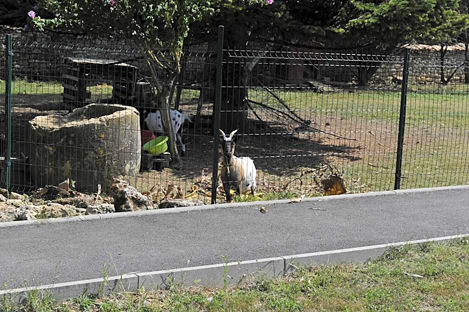 Jardin d'arcy - chambres d'hôtes avec piscine et SPA