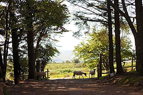 Wheal Tor Hotel & Glamping