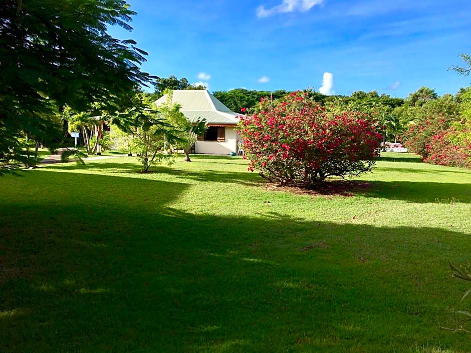 Résidence Le Vallon Guadeloupe Parc Piscine Appartements & Studios