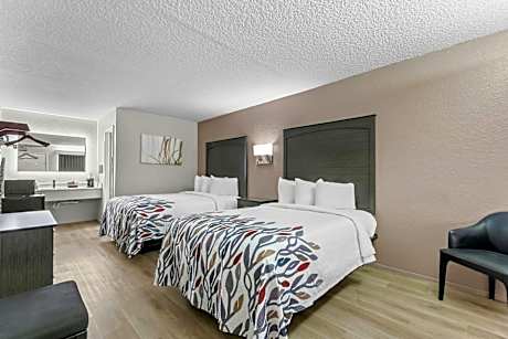 Deluxe Double Room with Two Double Beds Non-Smoking