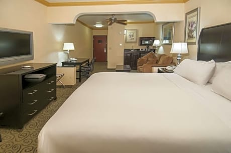 Suite King Bed Non Smoking