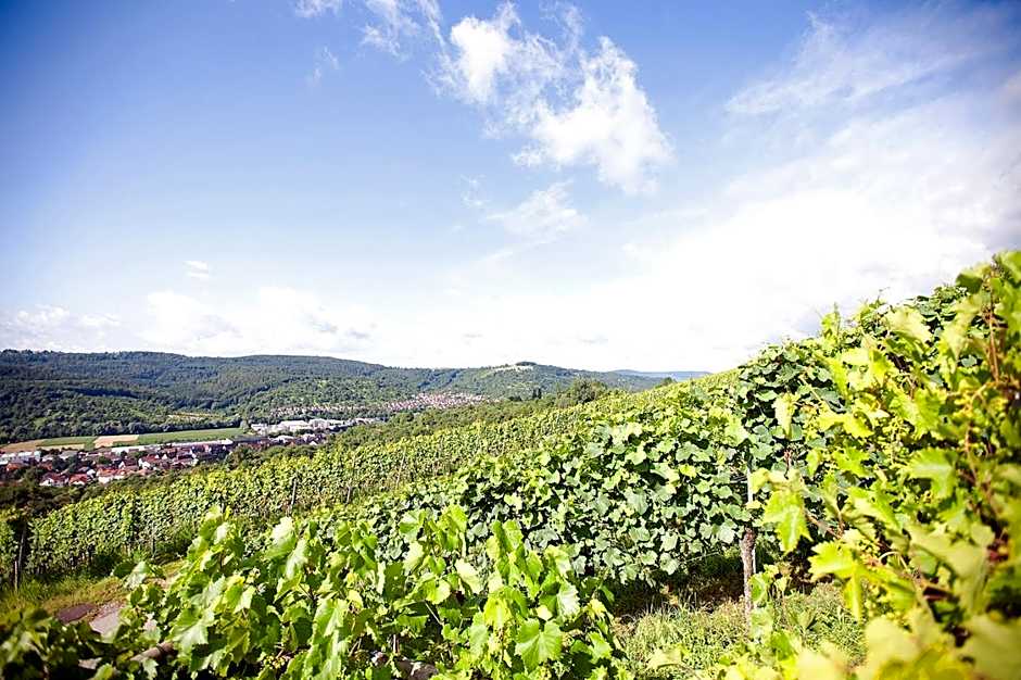 Hotel Restaurant Lamm Hebsack