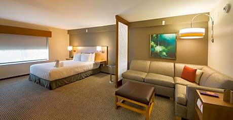 King Room with Sofa Bed