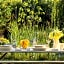 Garden Loft