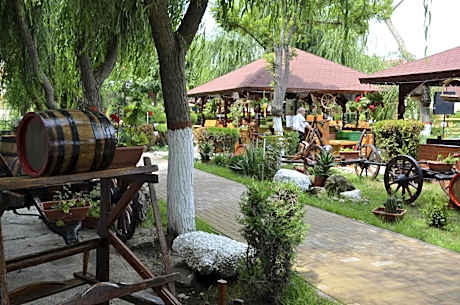 Hotel Poienita
