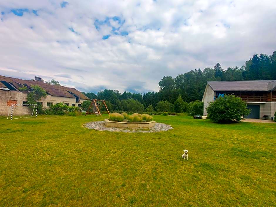 Pod bocianim gniazdem