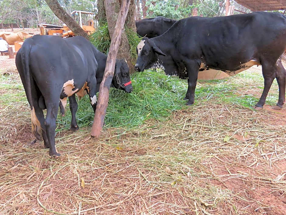 Fazenda Hotel Bem Ecológico