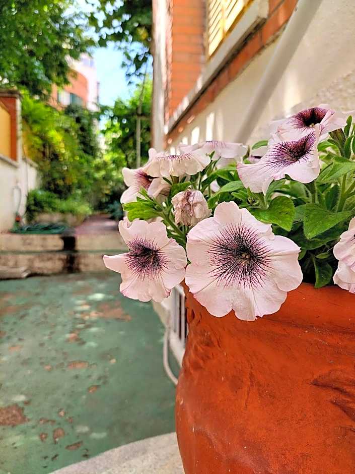 N1 Casa de Madrid - greenpeace line