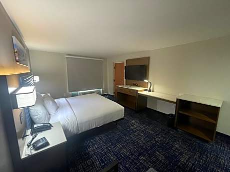 1 King Bed Non-Smoking