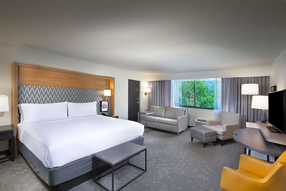 Holiday Inn Asheville East-Blue Ridge Pkwy By IHG