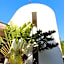 Aurea Hotel and Suites