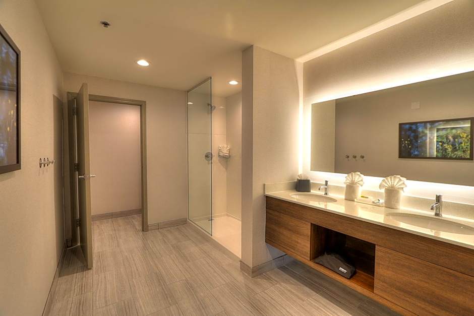 Holiday Inn & Suites Pigeon Forge Convention Center By IHG