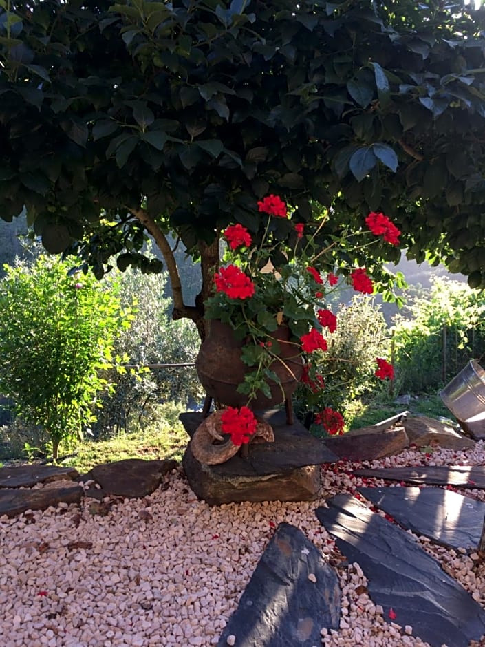 Mountainhome Casa Cancelinha