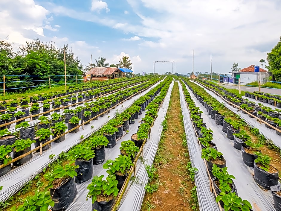 OYO Homes 91067 Desa Wisata Santanamekar