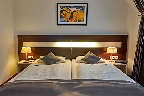 Comfort Single Room
