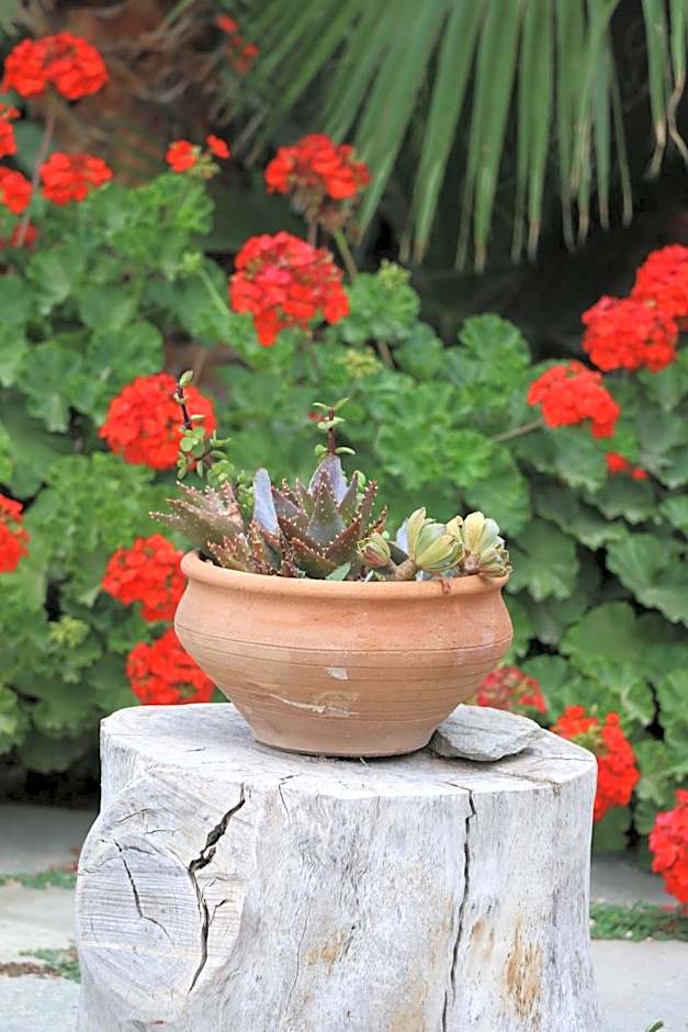 SPIROS & HIROKO Hotel - ADULTS ONLY