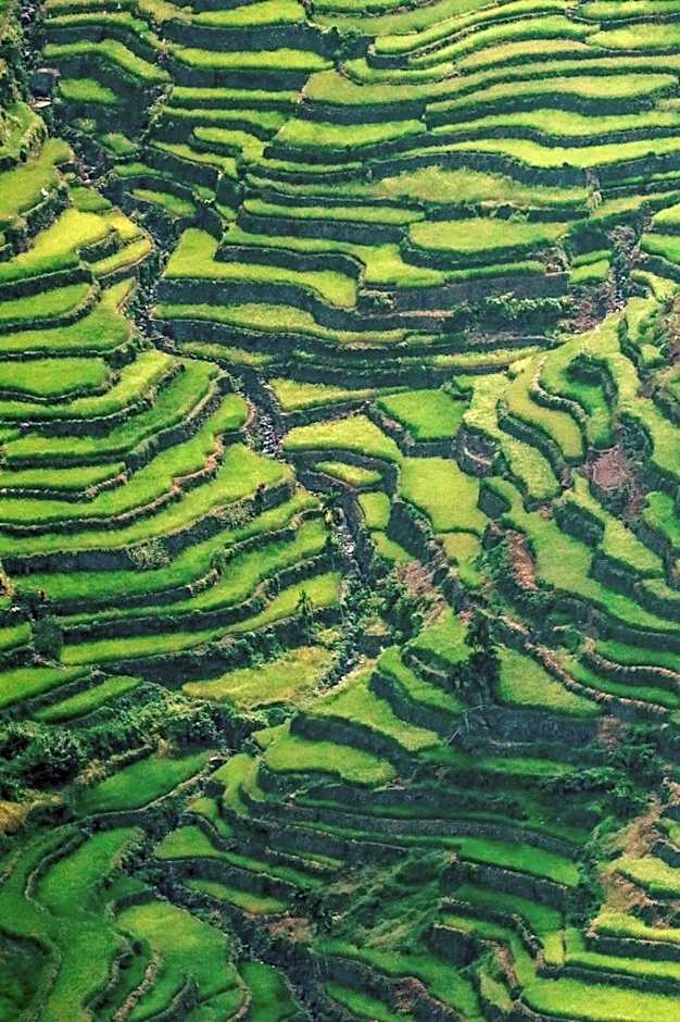 BATAD CRISTINA'S Main Village INN & Restaurant