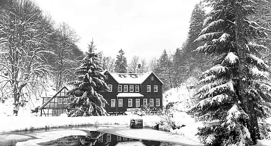 Waldhaus Wolfsbachmuhle