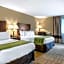 Comfort Inn Lansing West