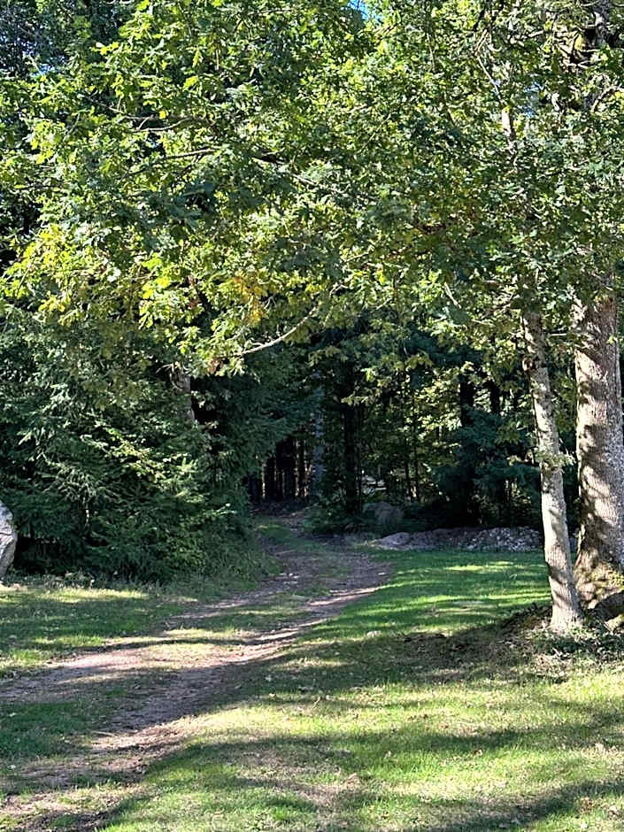 Du côté de chez Sam