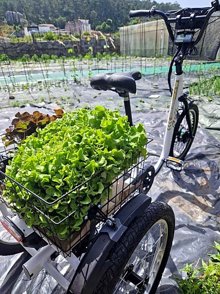 Hotel Spa Bosque mar