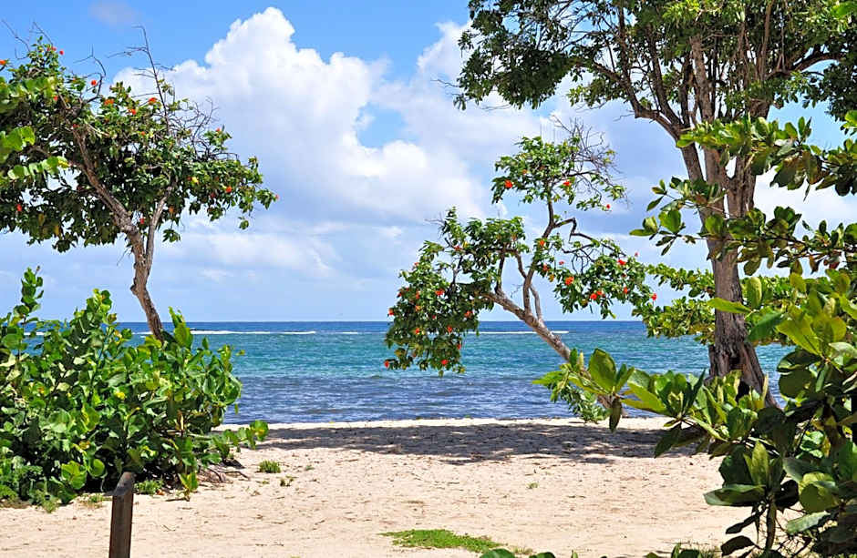 Résidence Tropicale