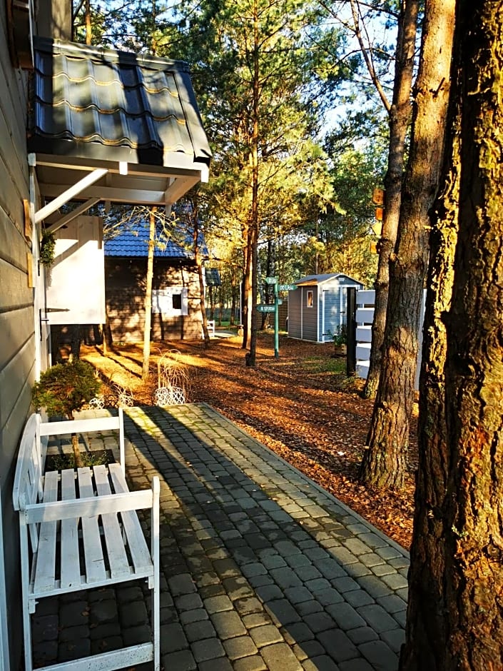 Domki Między Drzewami