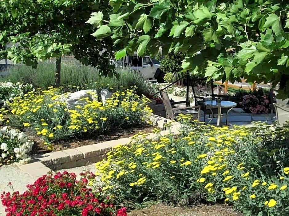 Farmhouse Paso