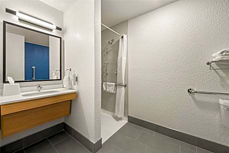 1 Queen Bed Mobility Accessible Transfer Shwr