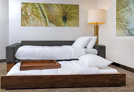 Queen Studio with Sofa Bed and Adapted Tub - Mobility and Hearing Accessible