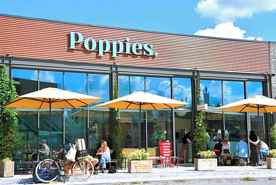 Poppies