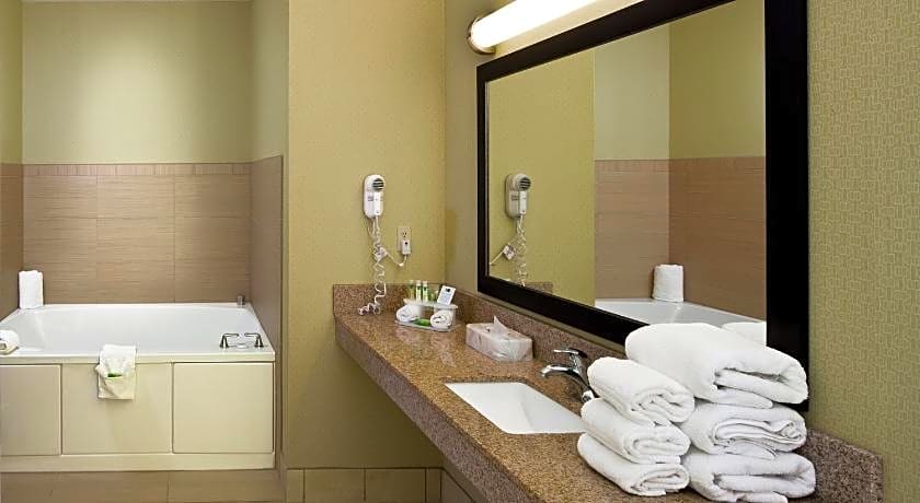 Holiday Inn Express Hotel & Suites Saginaw By IHG