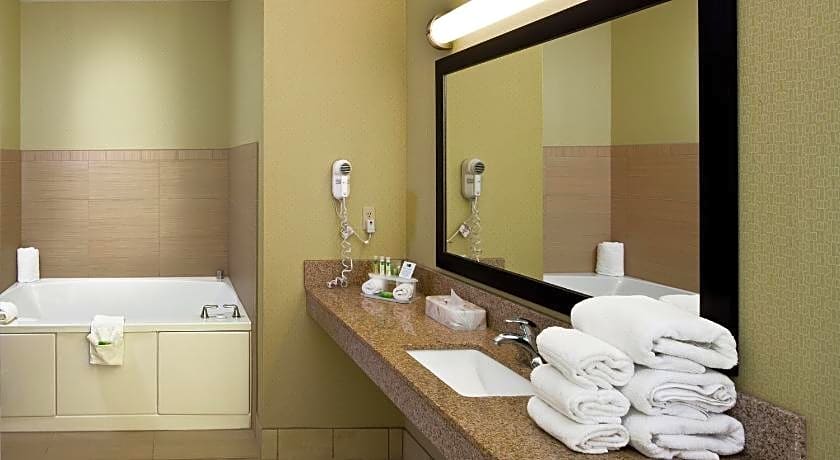 Holiday Inn Express Hotel & Suites Saginaw