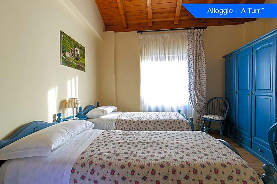 B&B Loreto