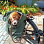 Best Boerderij B&B