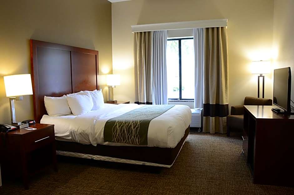 Comfort Inn & Suites Cave City