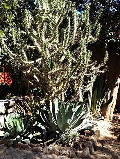 Guayaba Inn Boutique Hotel