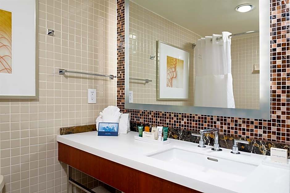 DoubleTree by Hilton Washington Dulles Airport