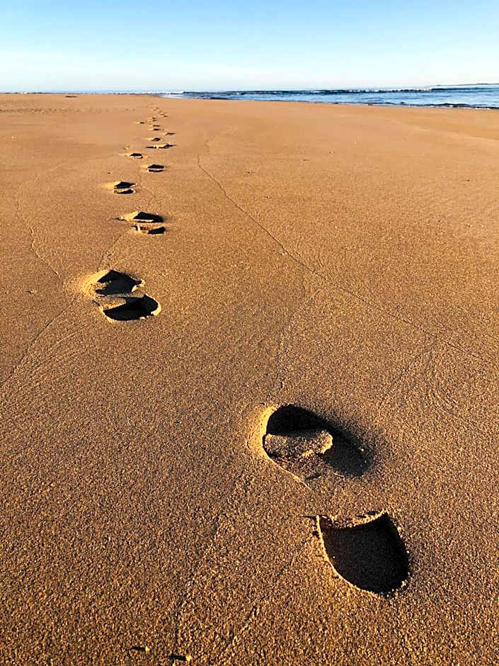 Albatross B&B Dornoch